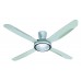 Ceiling Fans