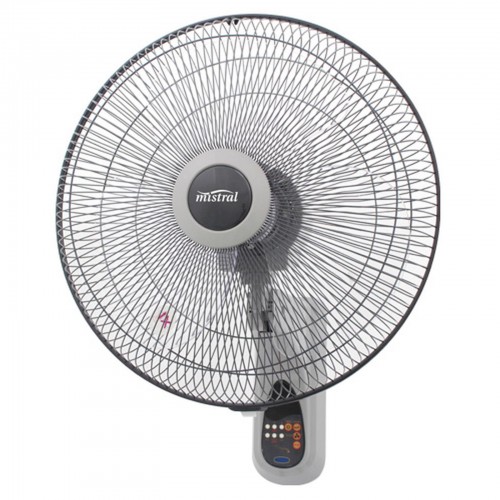 Fans