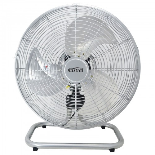 Fans