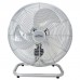 Fans