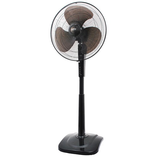 Fans