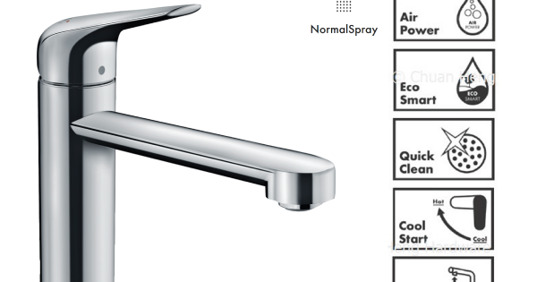 Hansgrohe Focus M42 Single lever kitchen mixer 120